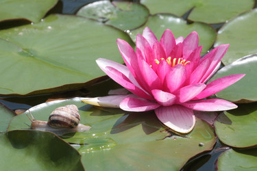 Similar image 2918762