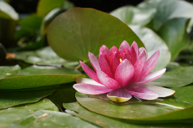 Similar image 2918785