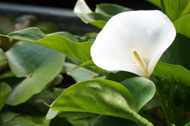 Similar image 2918786