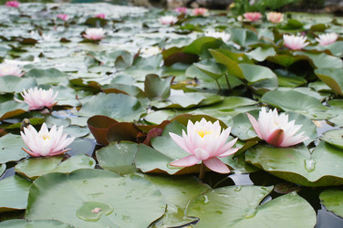 Similar image 2918787