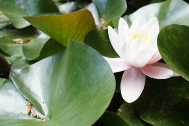 Similar image 2918794