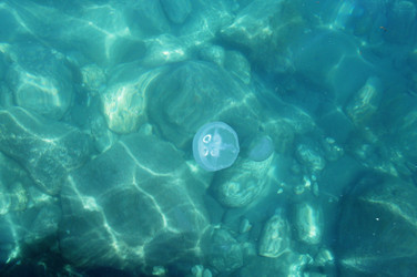 Similar image 2918798