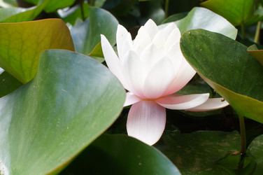 Similar image 2918801