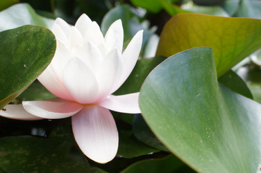 Similar image 2918802