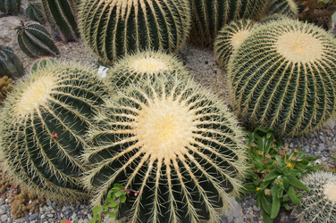 Similar image 2918805