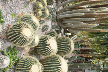 Similar image 2918813