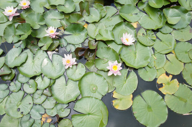 Similar image 2918814