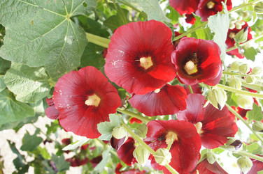 Similar image 2918818