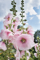 Similar image 2918822