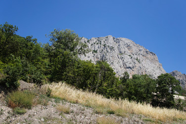 Similar image 2918826