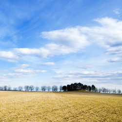 Similar image 2918860