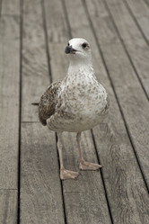 Similar image 2918867