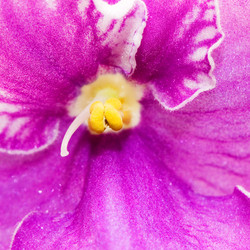 Similar image 2918873