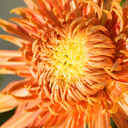 Similar image 2918874