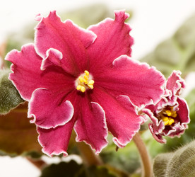 Similar image 2918875