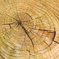 Similar image 2918885