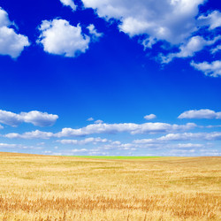 Similar image 2918886