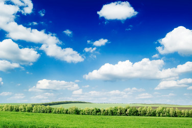 Similar image 2918887