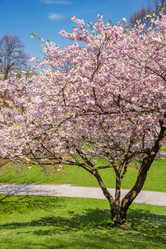 Similar image 2918937