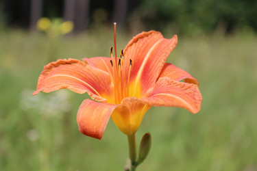 Similar image 2918991