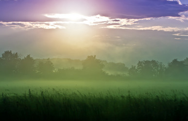 Similar image 2919030