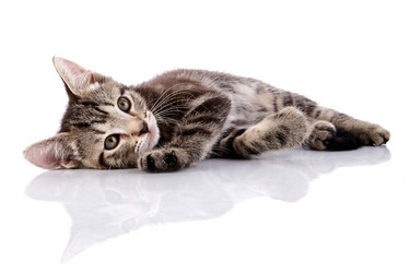 Similar image 2919036