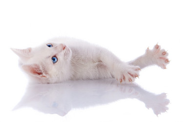 Similar image 2919041