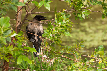 Similar image 2919052