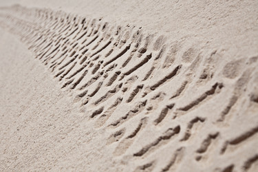 Similar image 2919153