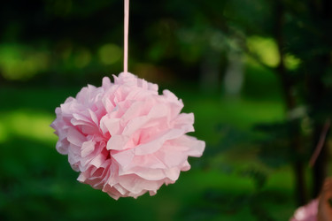 Similar image 2919157