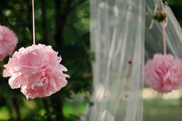 Similar image 2919158