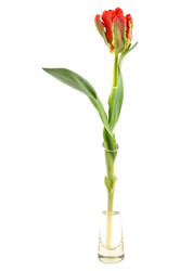 Similar image 2919192