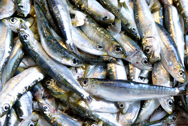 Similar image 2919210