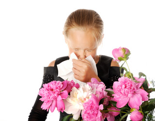 Similar image 2919221