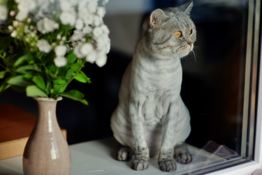 Similar image 2919349