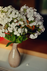 Similar image 2919350