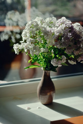 Similar image 2919351