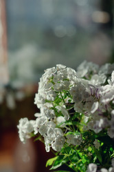 Similar image 2919352