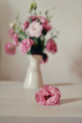 Similar image 2919354