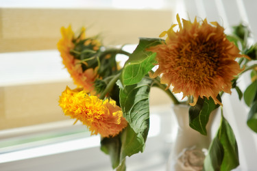 Similar image 2919356