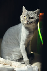 Similar image 2919358