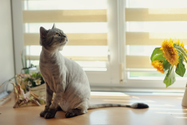 Similar image 2919359