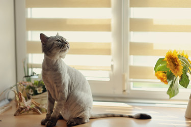 Similar image 2919360