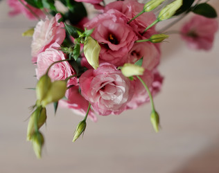 Similar image 2919380