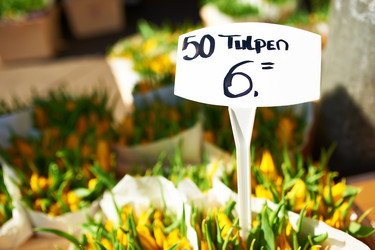 Similar image 2919418