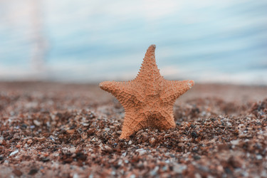 Similar image 2919420