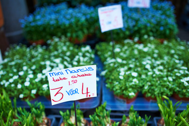 Similar image 2919423