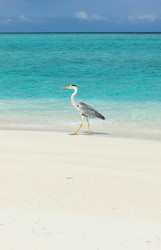 Similar image 2919436