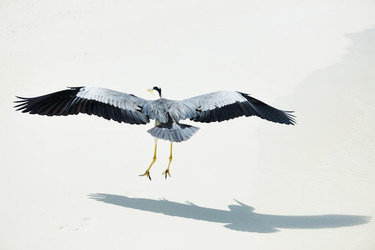 Similar image 2919437