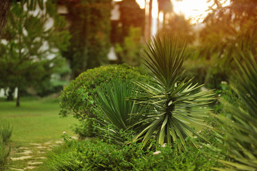 Similar image 2919449